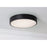 AFX Lighting Bailey 1 Light 14" LED Ceiling Light, Black/Frosted