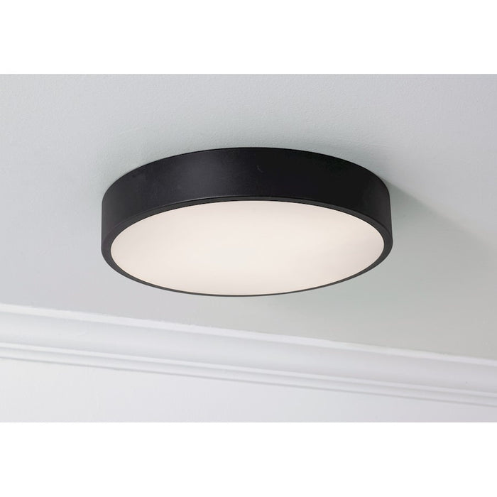 AFX Lighting Bailey 1 Light 14" LED Ceiling Light, Black/Frosted