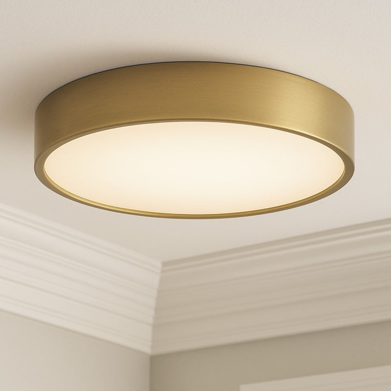 AFX Lighting Bailey 1Lt 14" Flush Mount, Antique Brass/Frosted