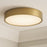 AFX Lighting Bailey 1Lt 14" Flush Mount, Antique Brass/Frosted