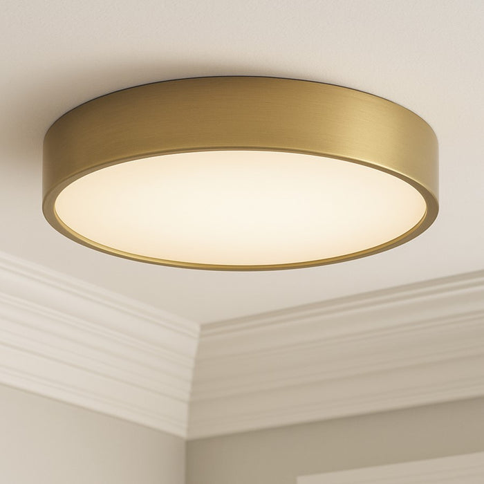 AFX Lighting Bailey 1Lt 14" Flush Mount, Antique Brass/Frosted