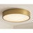 AFX Lighting Bailey 1Lt 14" Flush Mount, Antique Brass/Frosted