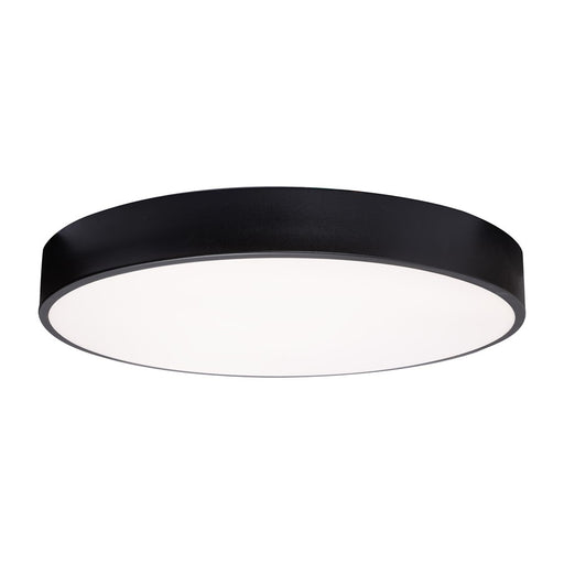 AFX Lighting Bailey 1 Light 19" LED Ceiling Light, Black/Frosted