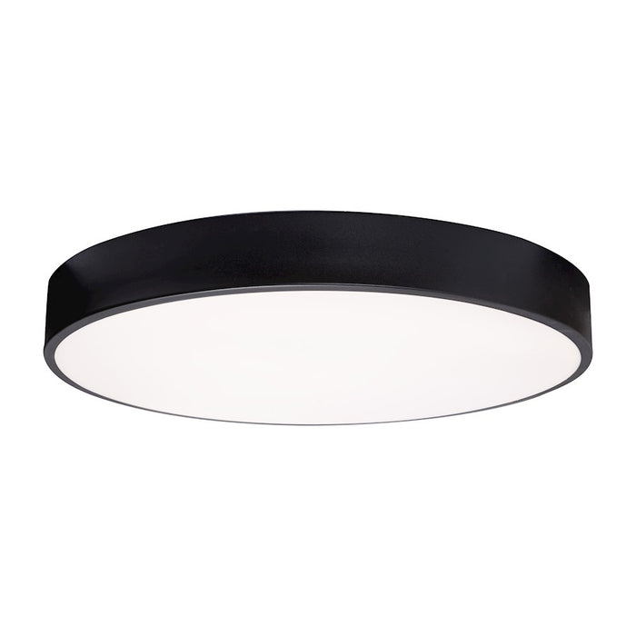 AFX Lighting Bailey 1 Light 19" LED Ceiling Light, Black/Frosted - BAYF19LAJUDBK