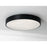 AFX Lighting Bailey 1 Light 19" LED Ceiling Light, Black/Frosted