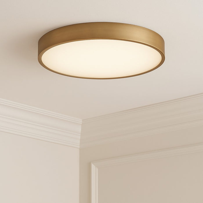 AFX Lighting Bailey 1Lt 19" Flush Mount, Antique Brass/Frosted