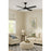 AFX Lighting Bryant 1Lt 52" 4 Blade LED Ceiling Fan, BK/FR