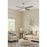 AFX Lighting Bryant 1Lt 52" 4 Blade LED Ceiling Fan, NK/FR