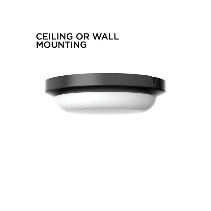 AFX Lighting Dean 1LT 11'' LED Outdoor Flush Mount, Black/White