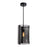 AFX Lighting Dana 1LT 10" Pendant, Black/120V/Smoke