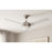 AFX Lighting Davis 1Lt 52" 3 Blade LED Ceiling Fan, NK/FR