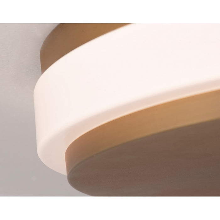 AFX Lighting Eris 1 Light 10" LED Ceiling Light, Brass/White