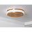 AFX Lighting Eris 1 Light 14" LED Ceiling Light, Brass/White