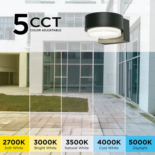 AFX Lighting Elm 1 Light Outdoor Sconce, Black/Black