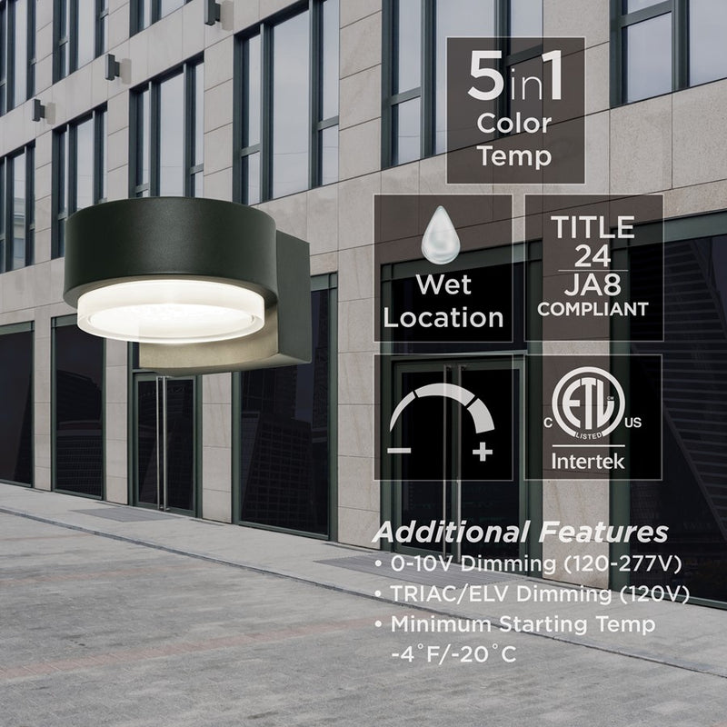 AFX Lighting Elm 1 Light Outdoor Sconce, Black/Black