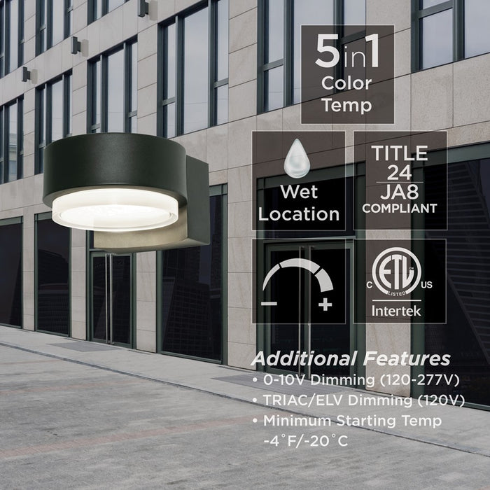 AFX Lighting Elm 1 Light Outdoor Sconce, Black/Black
