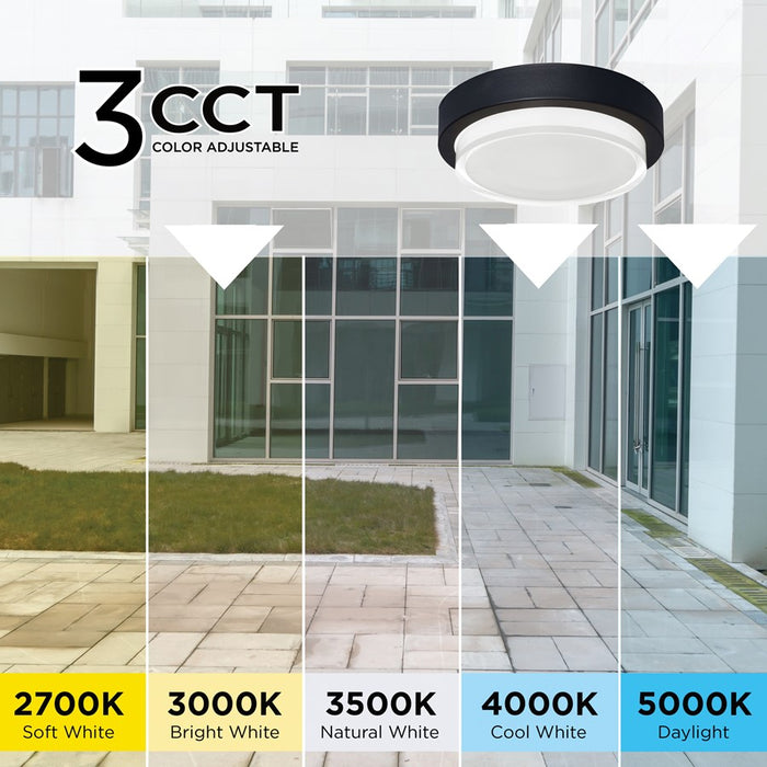 AFX Lighting Elm LED Outdoor Flush Mount, Black/Black