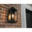 AFX Lighting Kansas 1 Light 14" Outdoor Sconce, Black/Clear