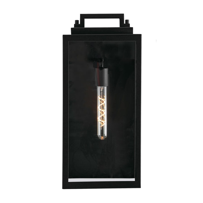 AFX Lighting Kansas 1 Light 19" Outdoor Sconce, Black/Clear