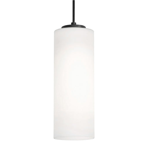 AFX Lighting Leo 1 Light 12'' Med Base Pendant, Black/White - LEOP0412MBBK