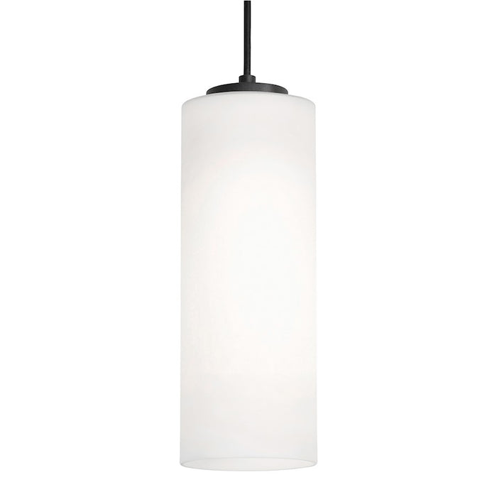 AFX Lighting Leo 1 Light 12'' Med Base Pendant, Black/White - LEOP0412MBBK