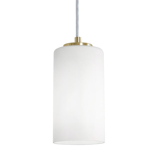 AFX Lighting Leo 1 Light Pendant, Light Antique Brass/Clear - LEOP04MBLB