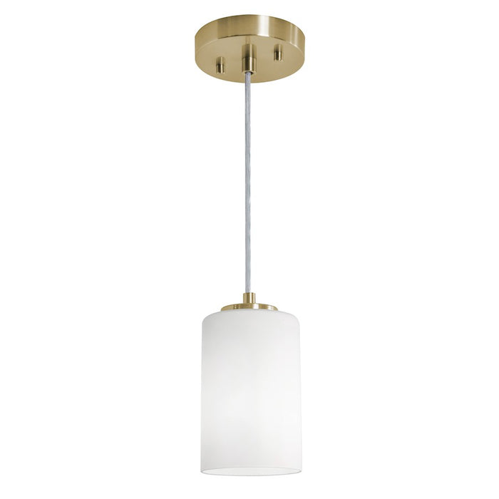 AFX Lighting Leo 1 Light Pendant, Light Antique Brass/Clear