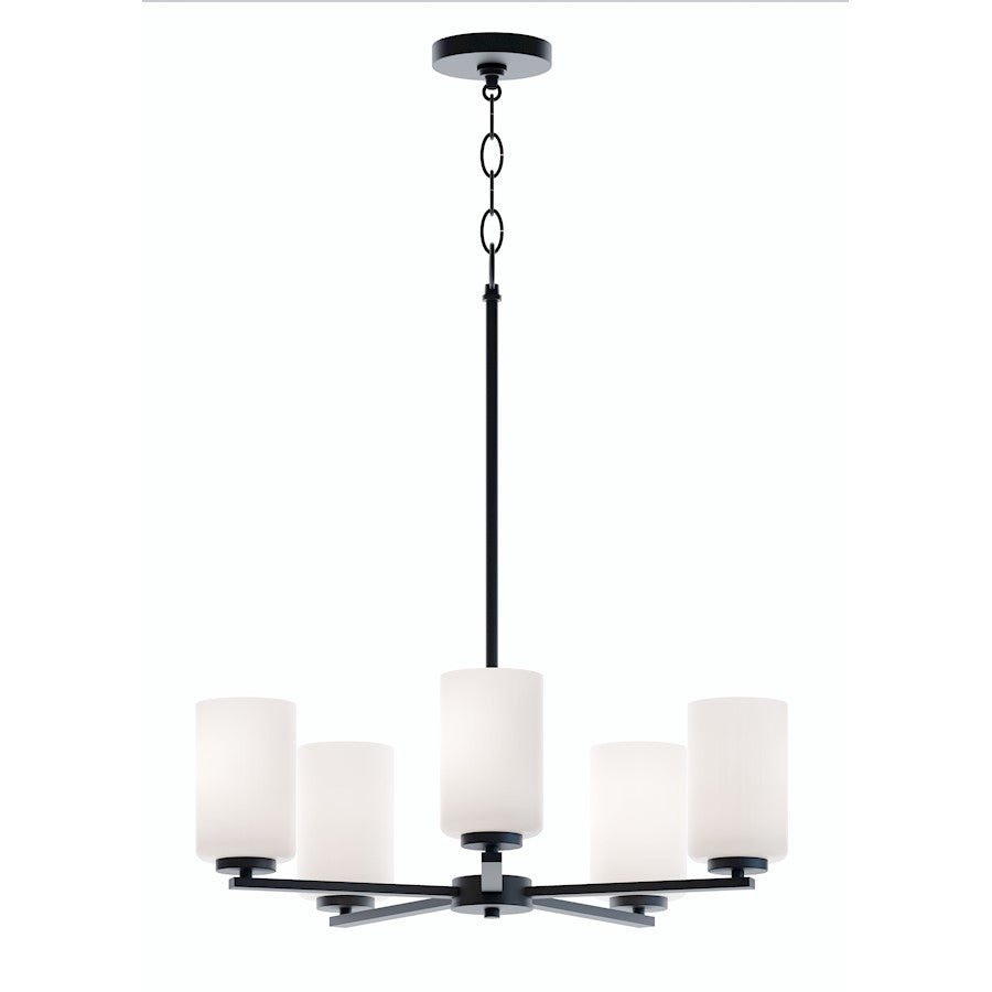 AFX Lighting Leo 5-Light Med Base Pendant, Black/White - LEOP24MBBK