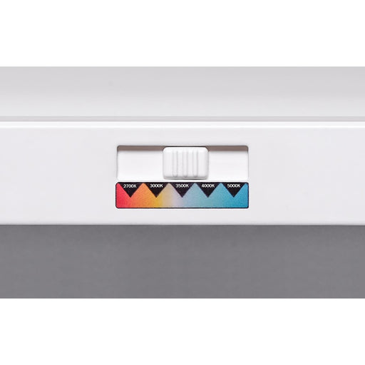 AFX Lighting Lugano 1LT 48"x24" LED Flush Mount, White/Frosted