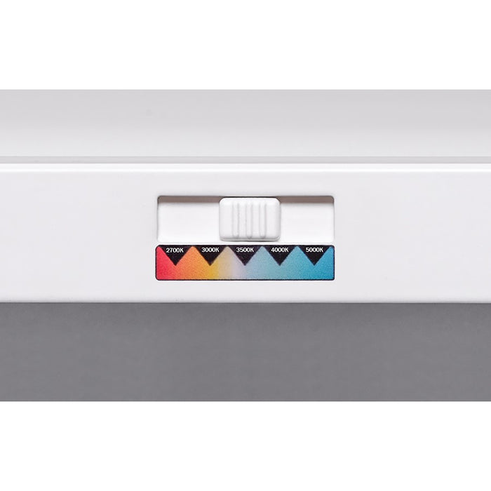 AFX Lighting Lugano 1LT 48"x24" LED Flush Mount, White/Frosted