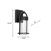 AFX Lighting Langston 1Lt LED 12"H Outdoor Sconce, Black/Clear