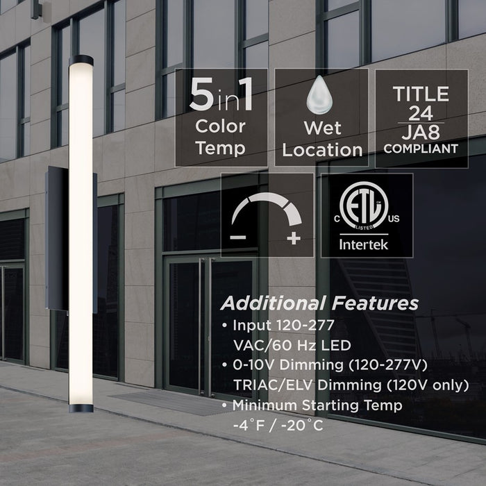 AFX Lighting Path 1Lt 18" LED Outdoor Sconce, Black/Frosted
