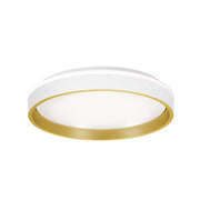 AFX Lighting Rana 1LT LED 16" Flush, White/5CCT/120V/Frosted - RNAF16LAJD1WH