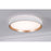 AFX Lighting Rana 1LT LED 16" Flush, White/5CCT/120V/Frosted