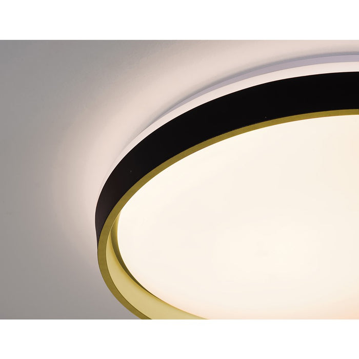 AFX Lighting Rana 1LT LED 19" Flush, Black/5CCT/120V/Frosted