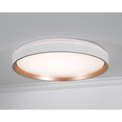 AFX Lighting Rana 1LT LED 19" Flush, White/5CCT/120V/Frosted