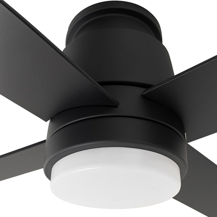 AFX Lighting Ross 1Lt 52" 4 Blade LED Ceiling Fan, BK/FR