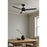 AFX Lighting Santo 1Lt 52" 3 Blade LED Ceiling Fan, BK/FR