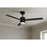 AFX Lighting Santo 1Lt 52" 3 Blade LED Ceiling Fan, BK/FR