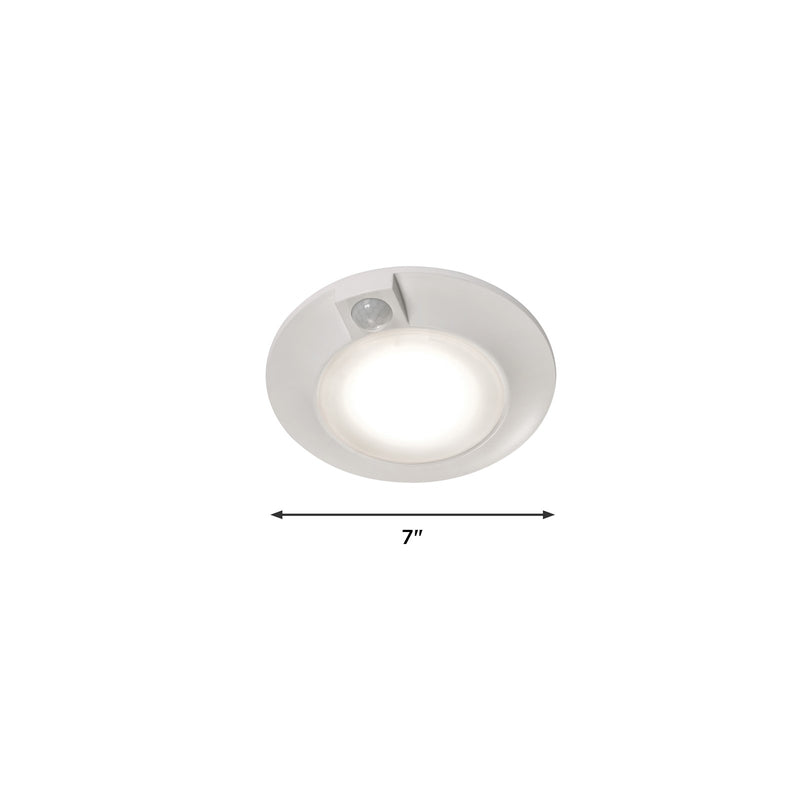 AFX Lighting Tana 7'' 1Lt LED Flush Mount, White/White