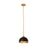 Z-Lite Landry 1 Light 10" Pendant, Matte Black/Rubbed Brass