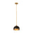 Z-Lite Landry 1 Light 10" Pendant, Matte Black/Rubbed Brass