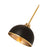 Z-Lite Landry 1 Light 10" Pendant, Matte Black/Rubbed Brass