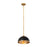 Z-Lite Landry 1 Light 14" Pendant, Matte Black/Rubbed Brass