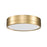 Z-Lite Algar 1 Light 12" Flush Mount, Modern Gold/Frosted