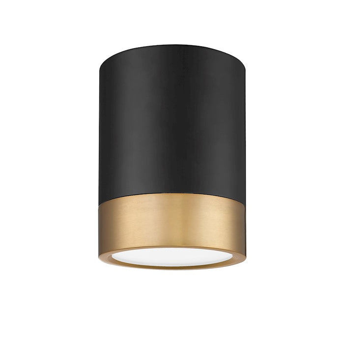 Z-Lite Algar 1 Light 6" Flush Mount, Black/Gold/Frosted