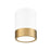 Z-Lite Algar 1 Light 6" Flush Mount, White/Gold/Frosted