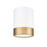 Z-Lite Algar 1 Light 6" Flush Mount, White/Gold/Frosted