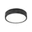 Z-Lite Stari 1 Light 12.75" Flush Mount, Matte Black/Frosted