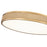 Z-Lite Stari 1 Light 20.75" Flush Mount, Modern Gold/Frosted